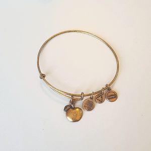 Alex and Ani energy bracelet